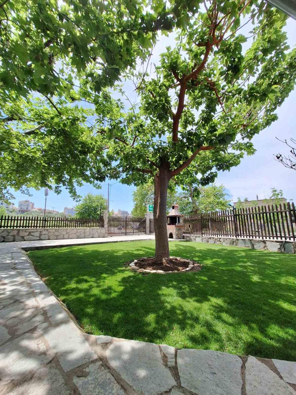 Platanes Apartments Skála Marión 外观 照片